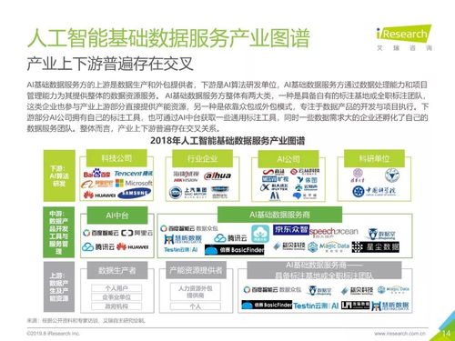 2019年中國(guó)人工智能基礎(chǔ)數(shù)據(jù)服務(wù)行業(yè)白皮書(shū)